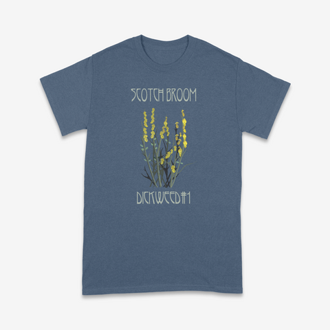 Scotch Broom: Dickweed #1